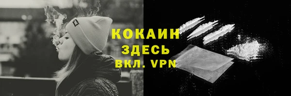 сатива Арсеньев