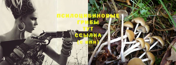 сатива Арсеньев