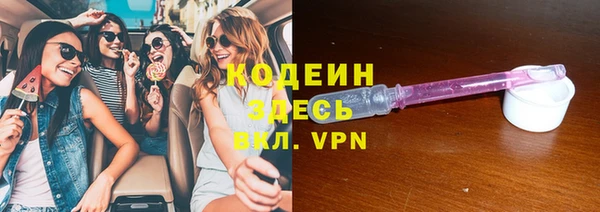 сатива Арсеньев