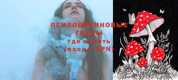 сатива Арсеньев