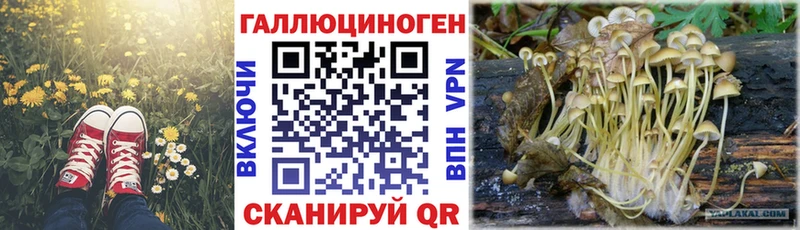 Псилоцибиновые грибы Psilocybe  Туринск 